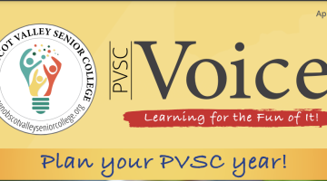 Title of newsletter: Voice, Learning for the fun of it